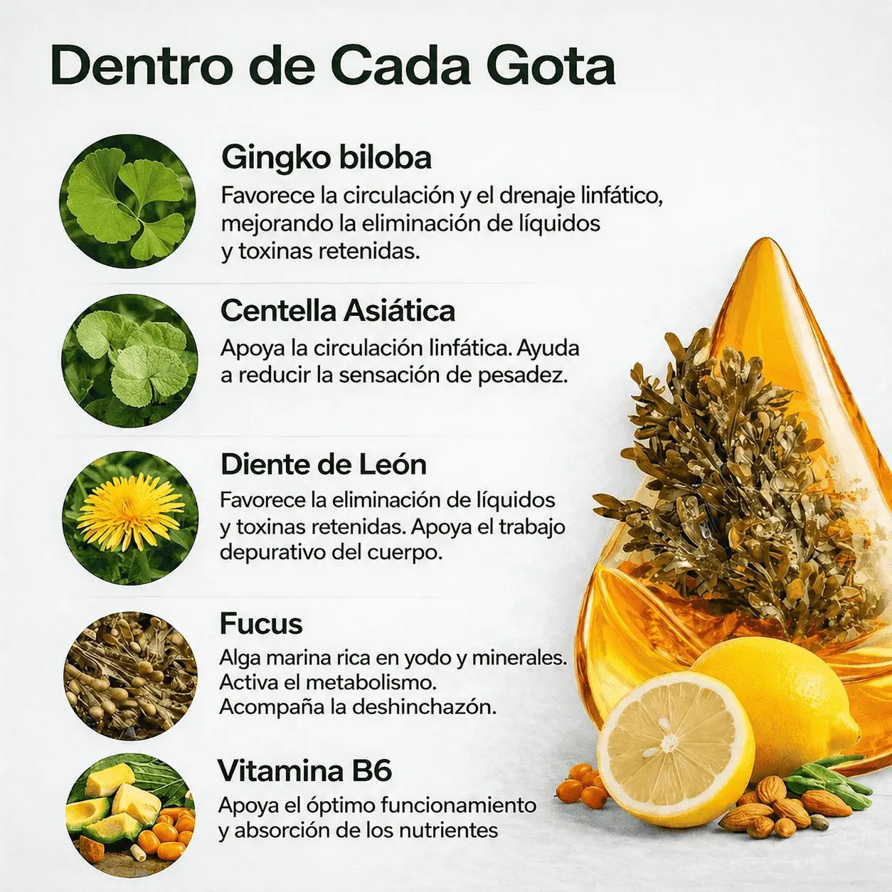 Lummi™ | Gotas de Drenaje Linfático Natural
